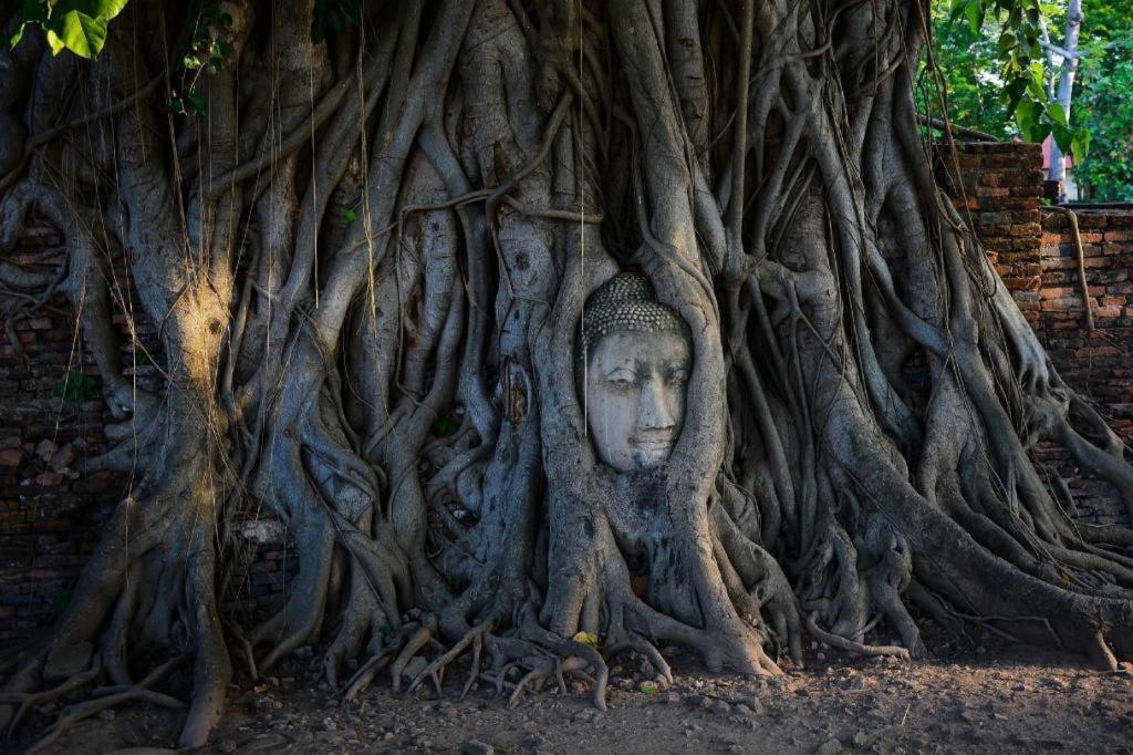 Oyo 384 Ban Sabaidee Otel Phra Nakhon Si Ayutthaya Dış mekan fotoğraf